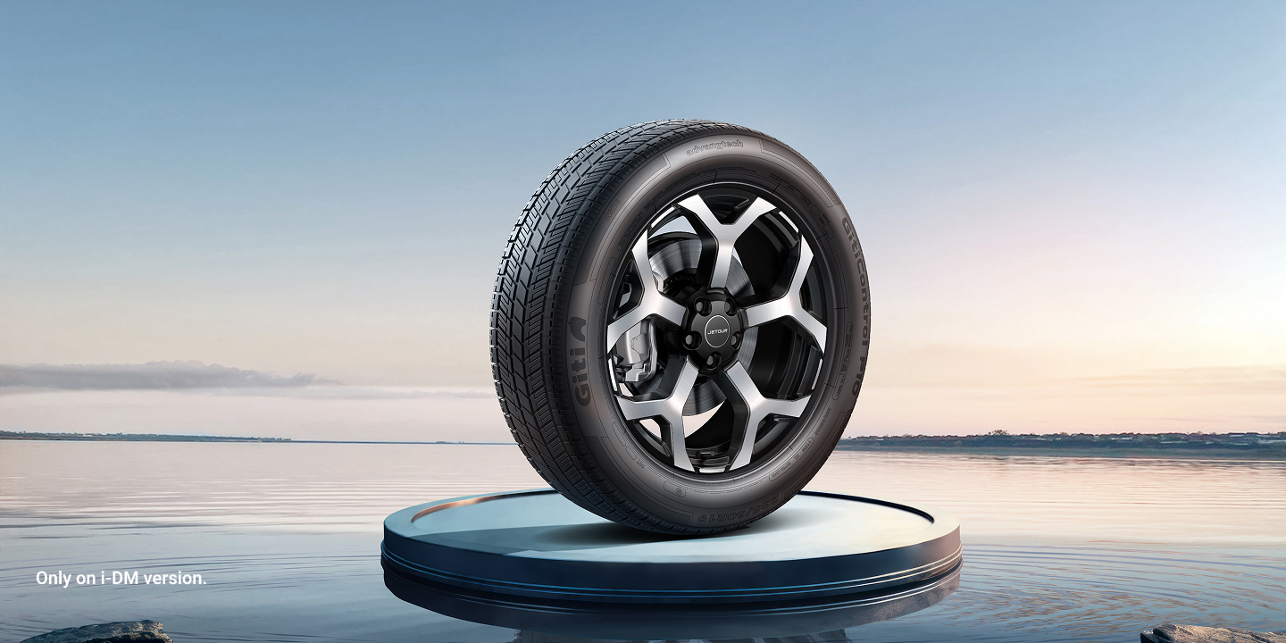 01-19” Wheels
